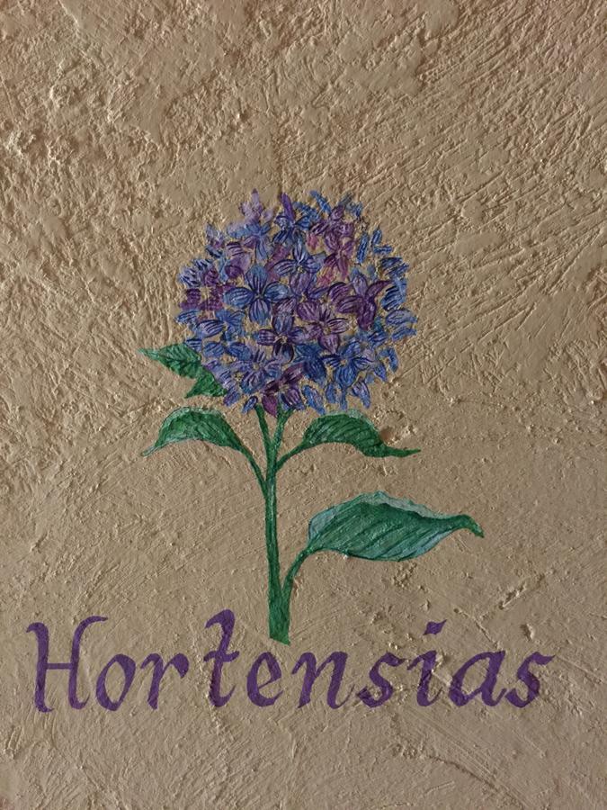 Hacienda Villa Victoria Boutique Comitan de Dominguez Kültér fotó